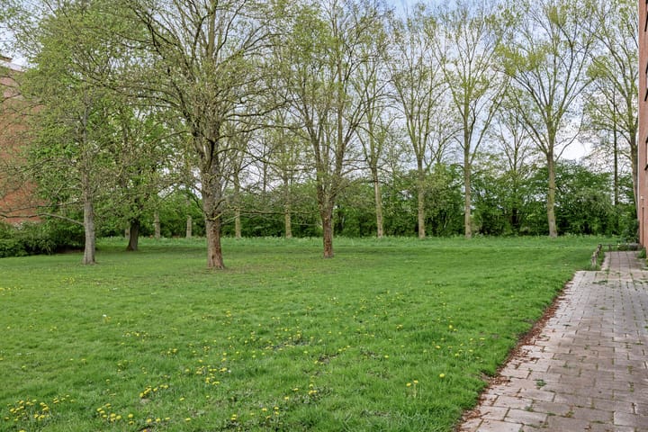 Photo 15 of Berkenlaan 319