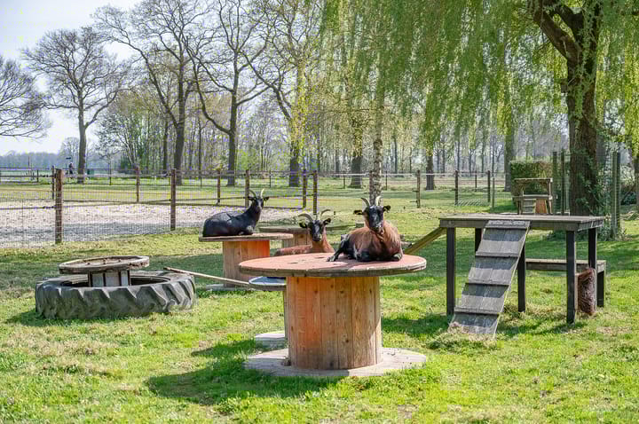 Foto 49 van Wandersweg 13