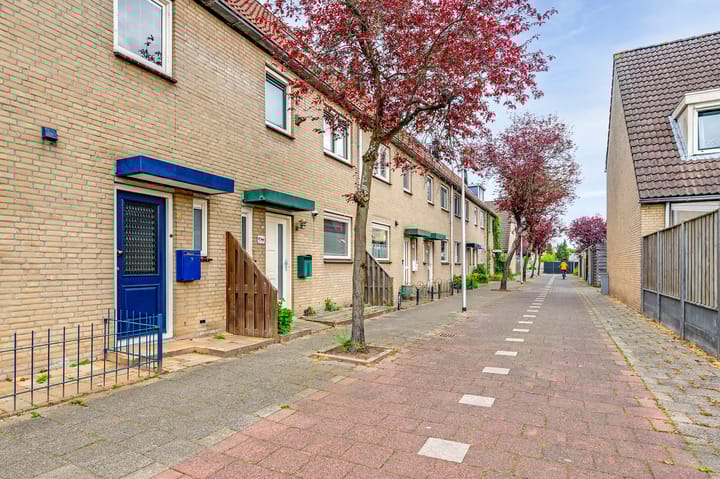 Foto 35 van Steentijdkreek 7