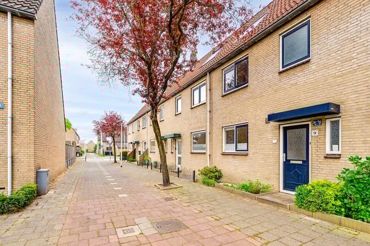 Foto 36 van Steentijdkreek 7