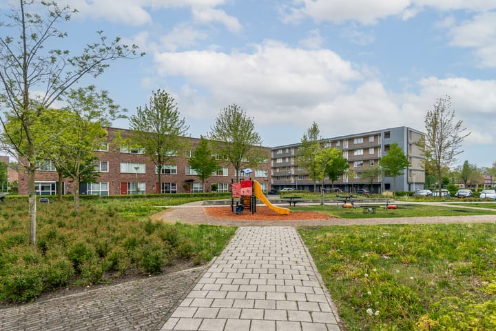 Foto 36 van Tweelingen 5