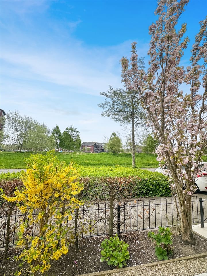 Foto 3 van Kadijk 47