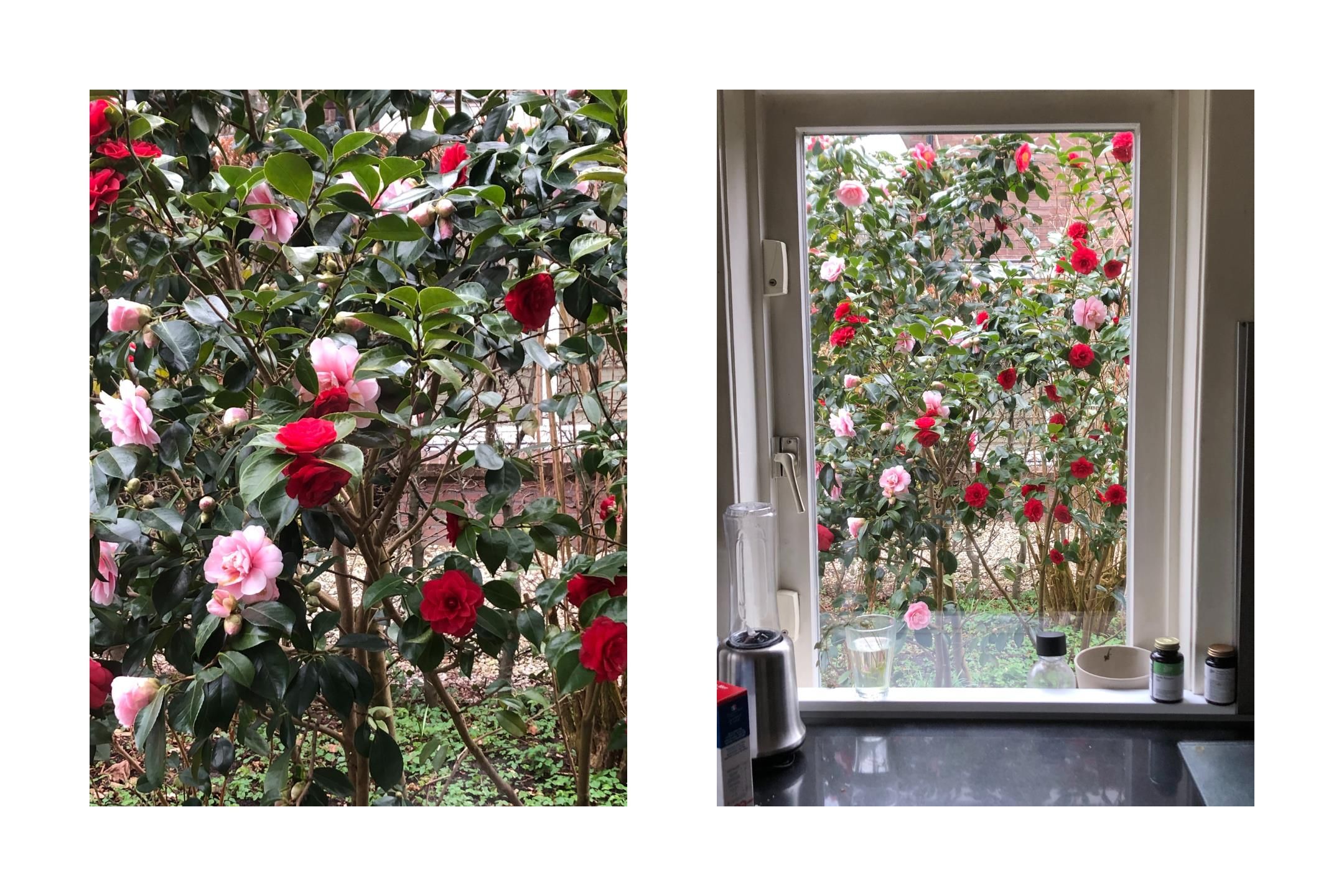 Foto 9 van Bosstraat 58