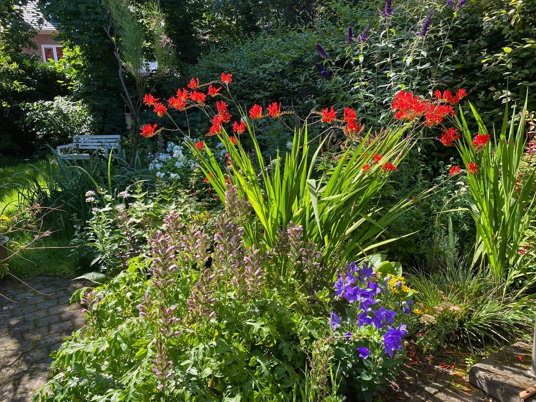 Foto 31 van Bosstraat 58