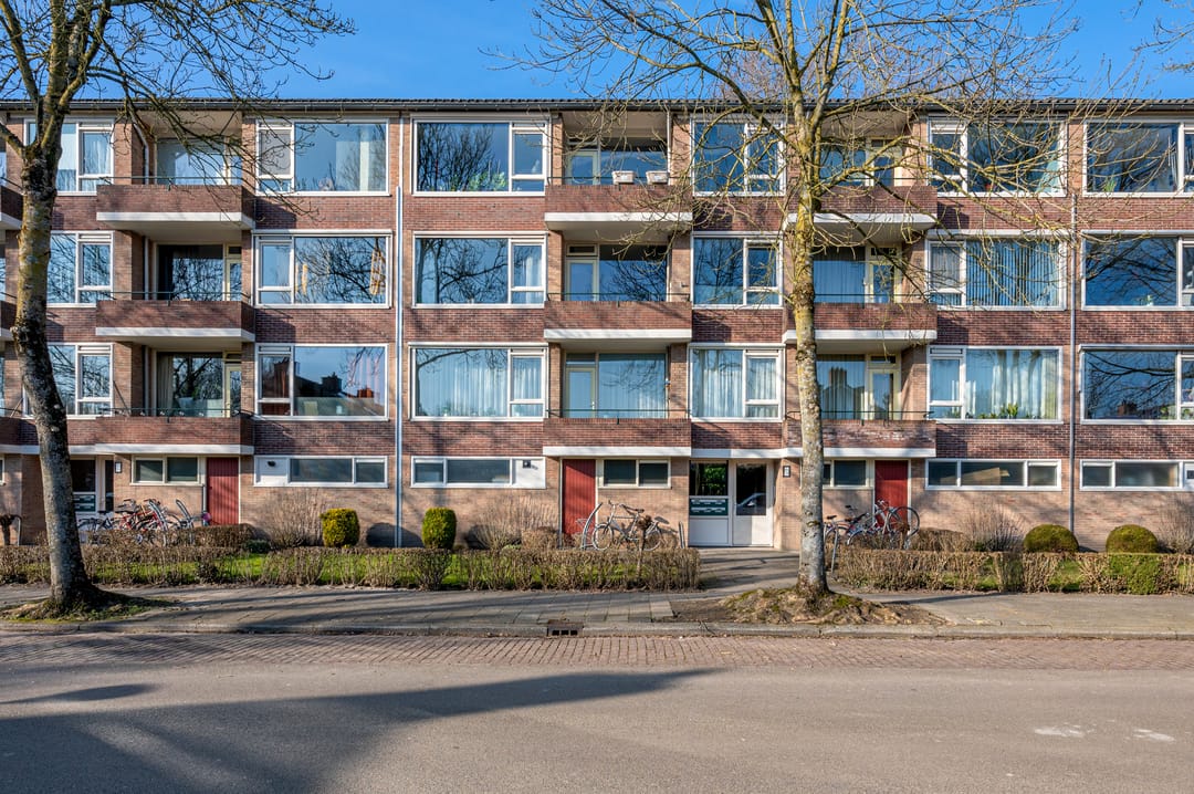 Foto 1 van Duindoornstraat 53