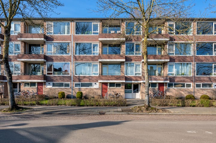 Foto 1 van Duindoornstraat 53