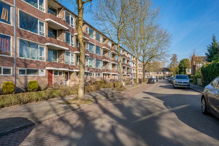 Foto 4 van Duindoornstraat 53