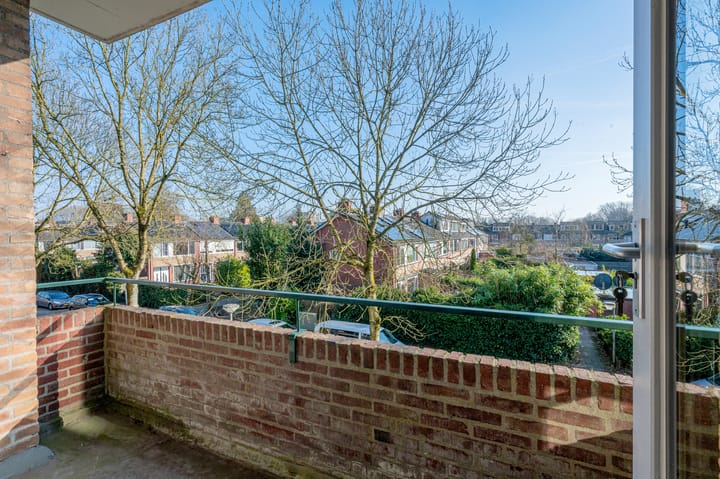 Foto 21 van Duindoornstraat 53