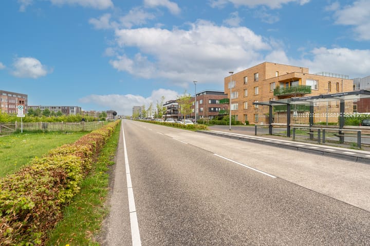 Photo 44 of Zwedenstraat 43