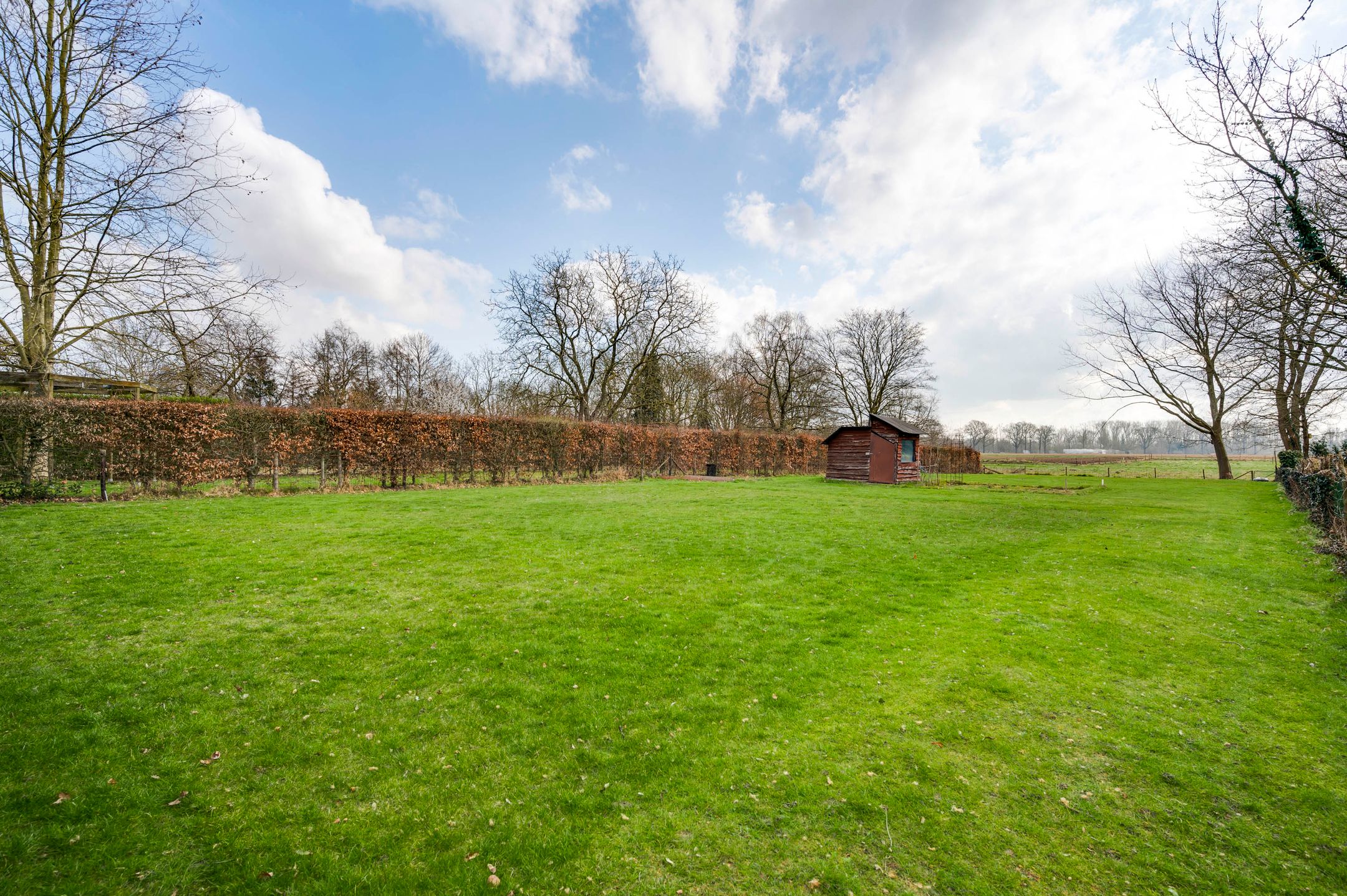 Foto 39 van Driessensstraat 50