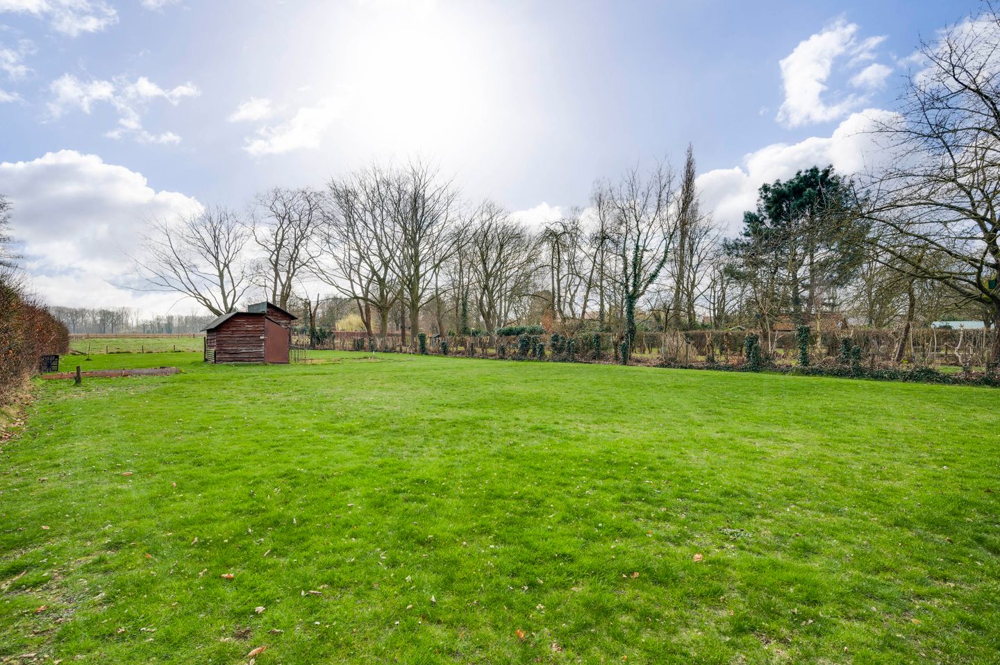 Foto 40 van Driessensstraat 50