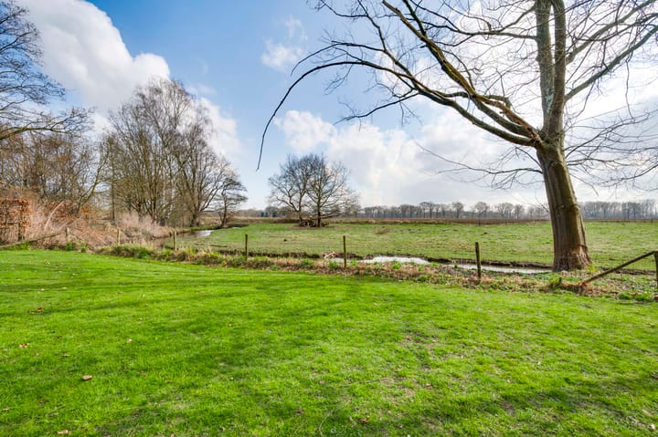 Foto 41 van Driessensstraat 50