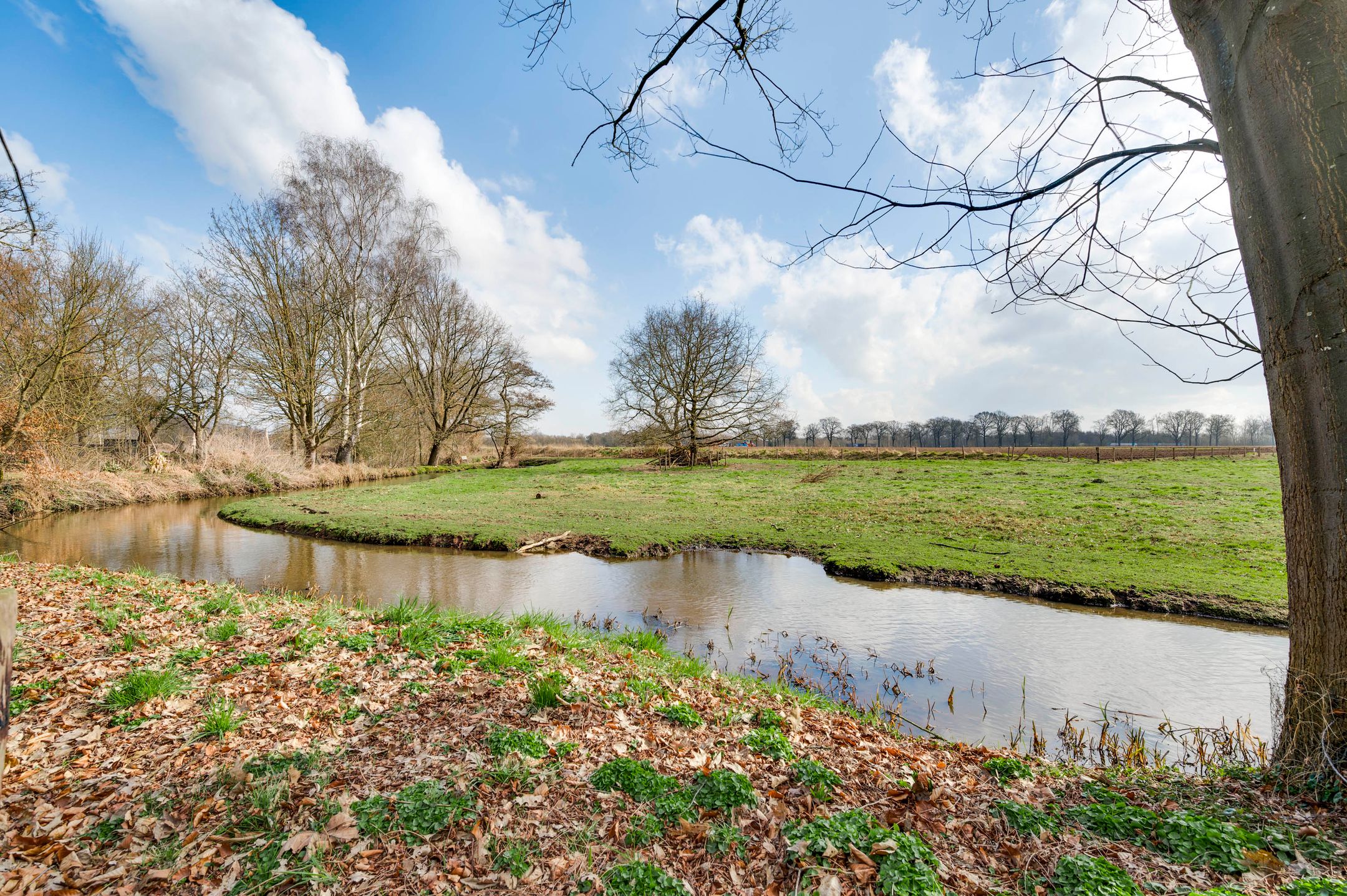 Foto 42 van Driessensstraat 50