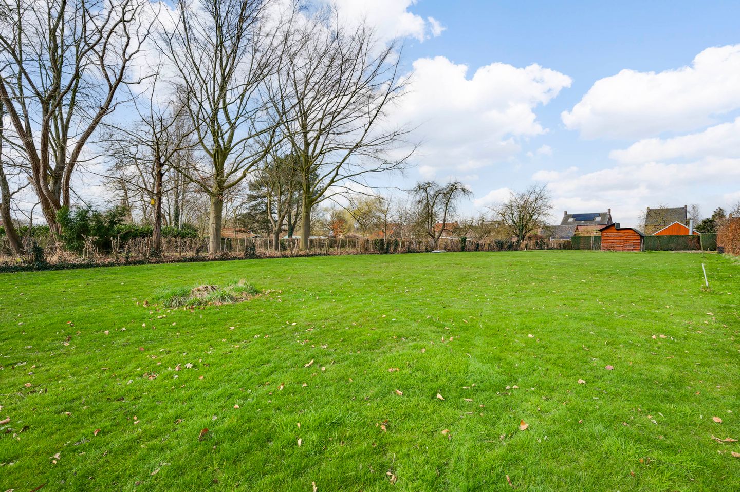 Foto 44 van Driessensstraat 50