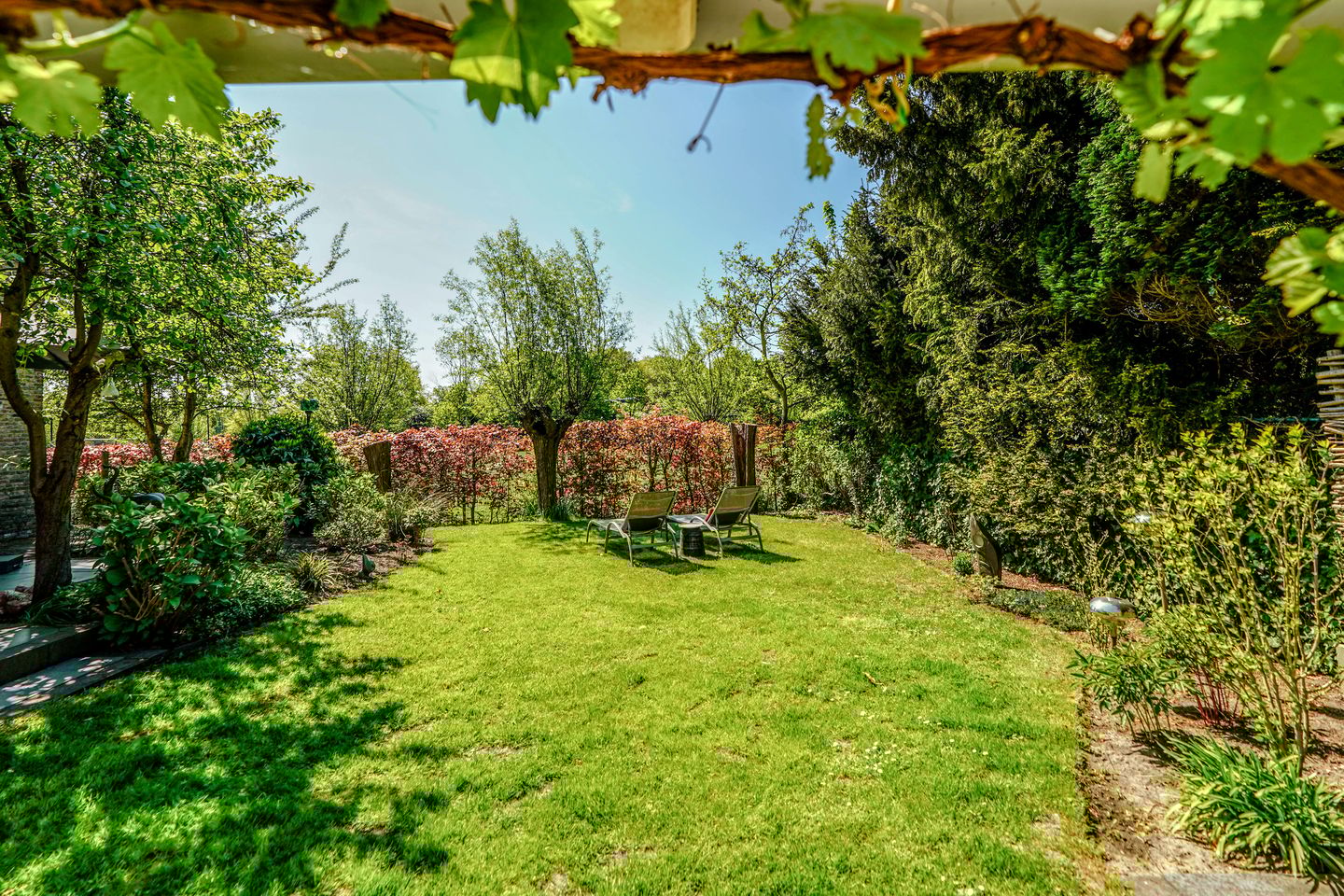 Foto 59 van Julialaantje 30