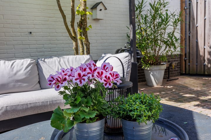 Foto 42 van Eikenpark 23