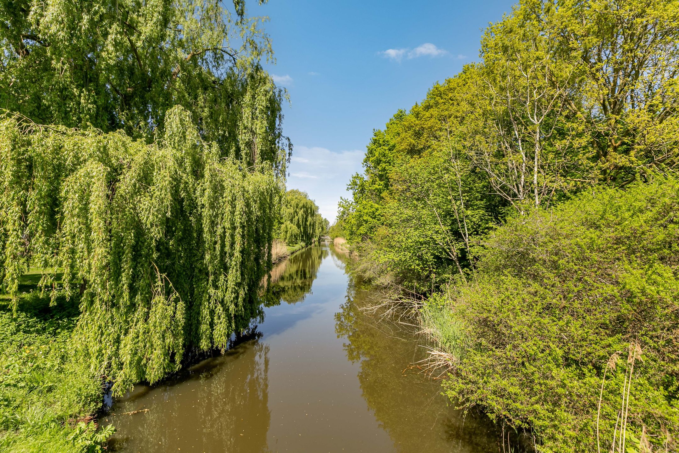 Photo 33 of Poldermolenweg 207