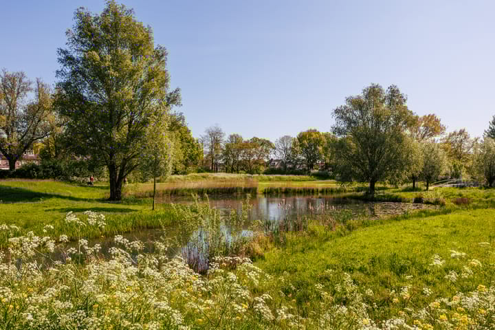 Foto 61 van Eikenpark 23