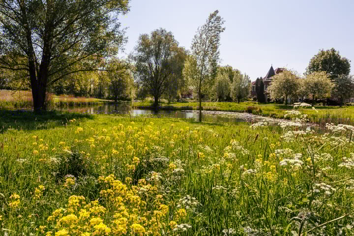 Foto 63 van Eikenpark 23