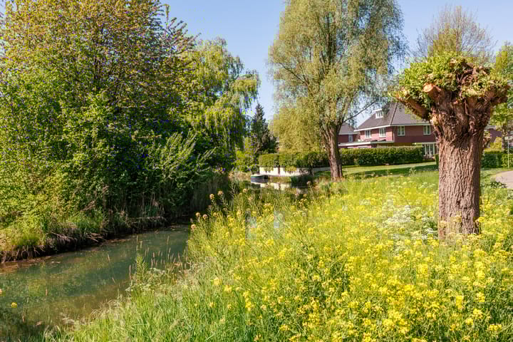 Foto 65 van Eikenpark 23