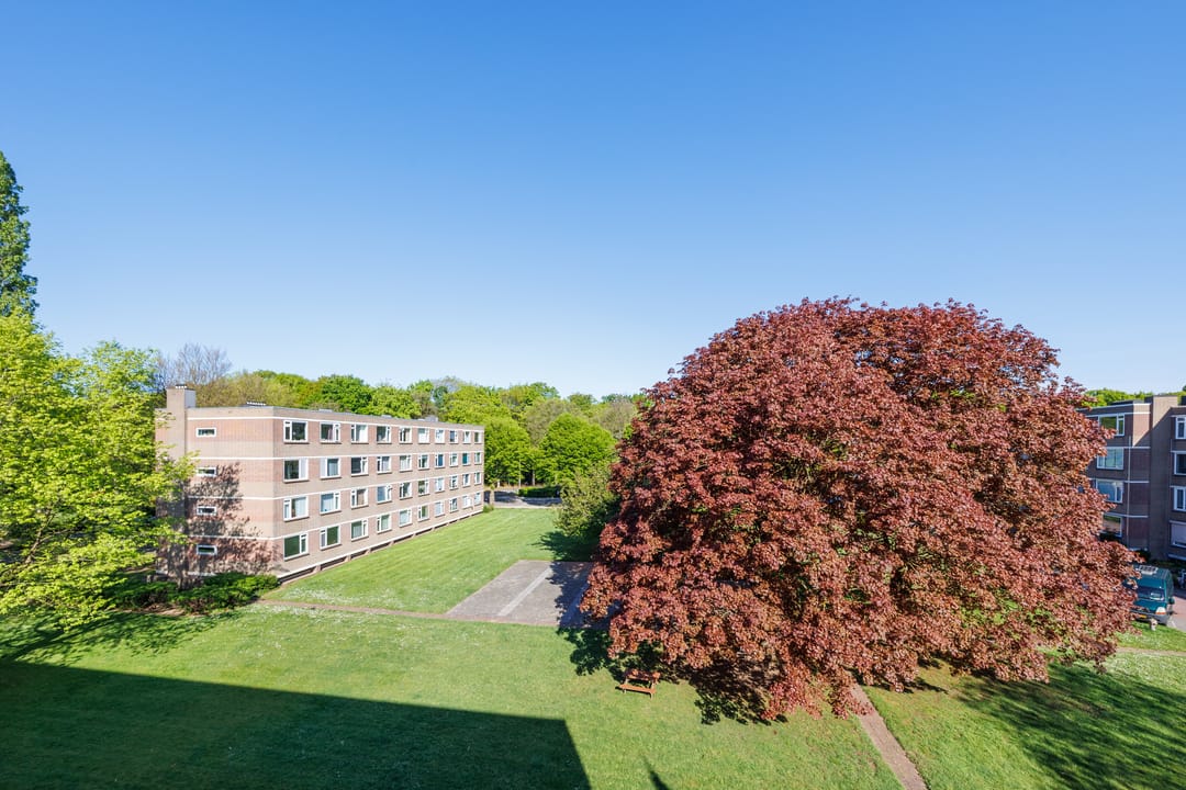 Foto 16 van Beverweg 64