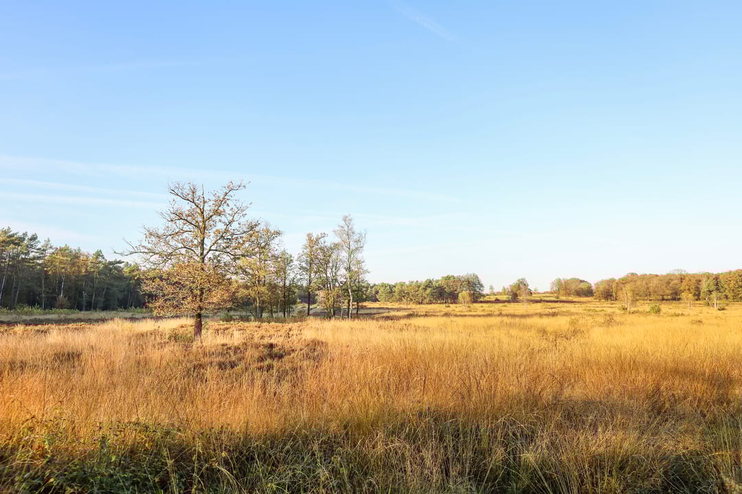 Photo 26 of Krimweg 140-A83