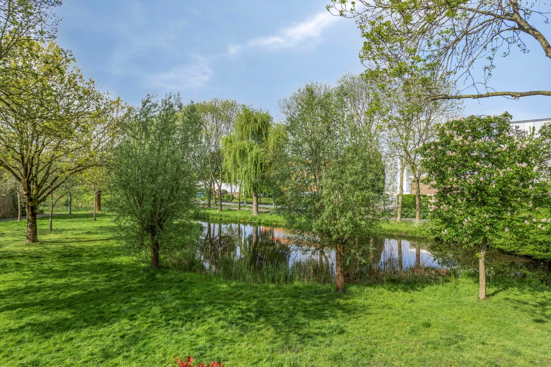 Photo 16 of Seringenlaan 26