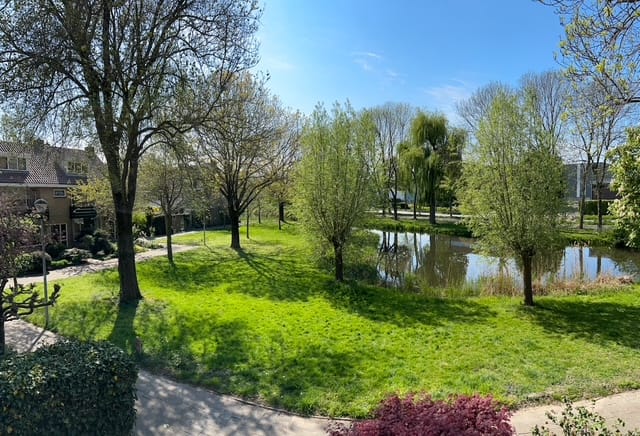 Foto 29 van Seringenlaan 26