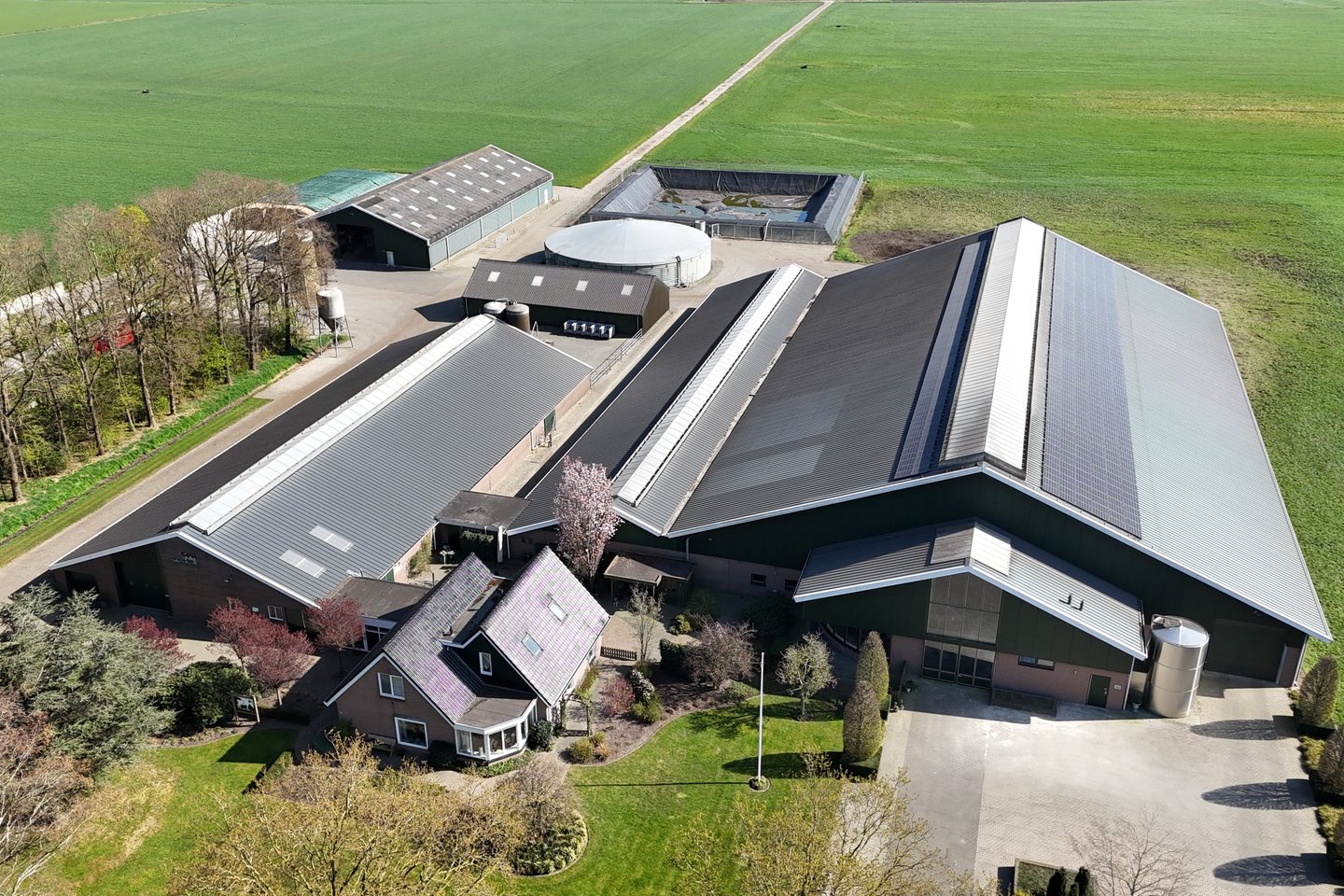View photo 1 of Zwiggelterweg 4