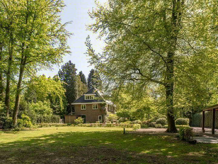 Foto 4 van Heisteeg 8