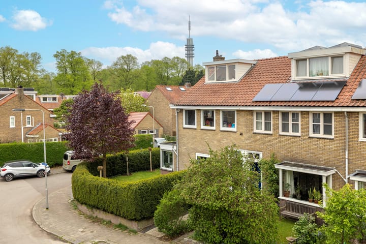 Foto 41 van Hertshoornstraat 15