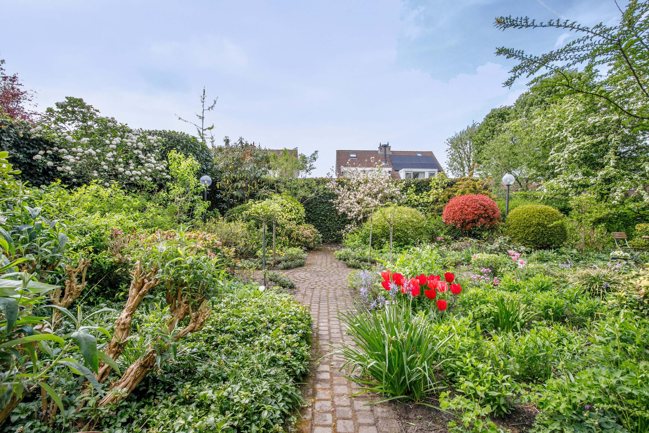 Photo 39 of Robert Kochlaan 30