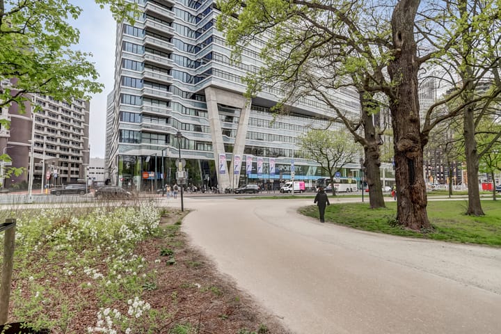 Foto 7 van Bezuidenhoutseweg 65-120