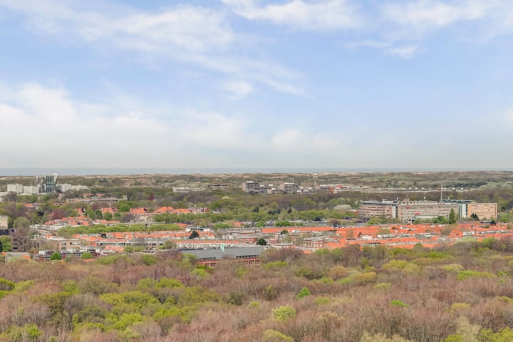 Foto 23 van Bezuidenhoutseweg 65-120