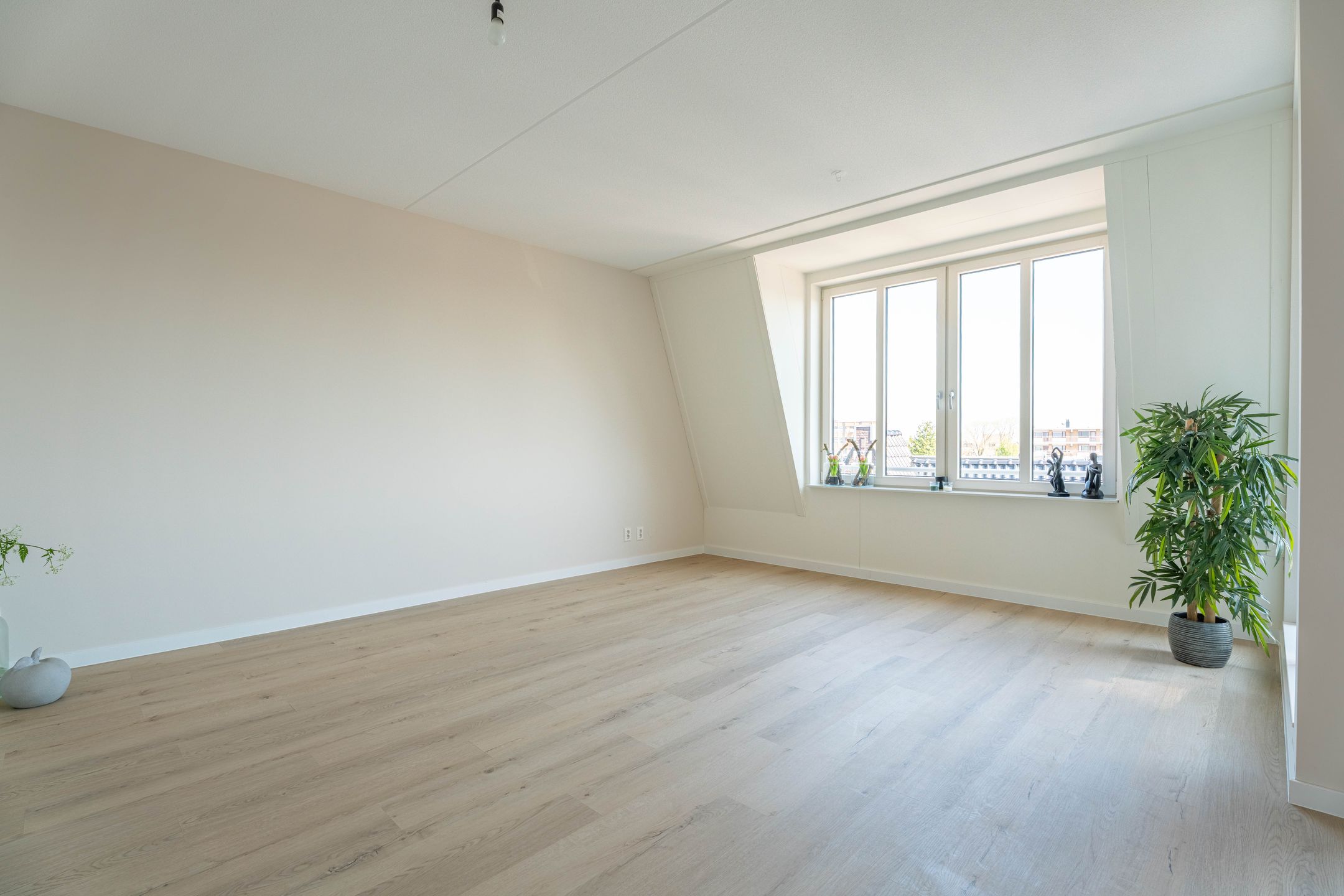 Foto 3 van E.E. van der Laanstraat 50