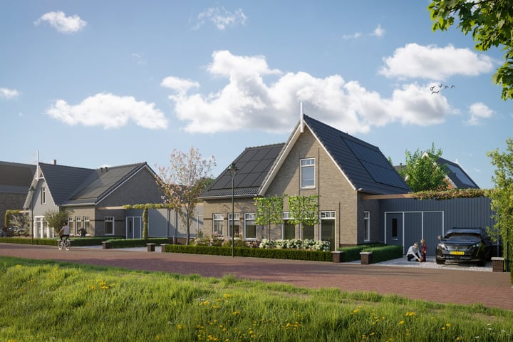 Foto 5 van Weideveld