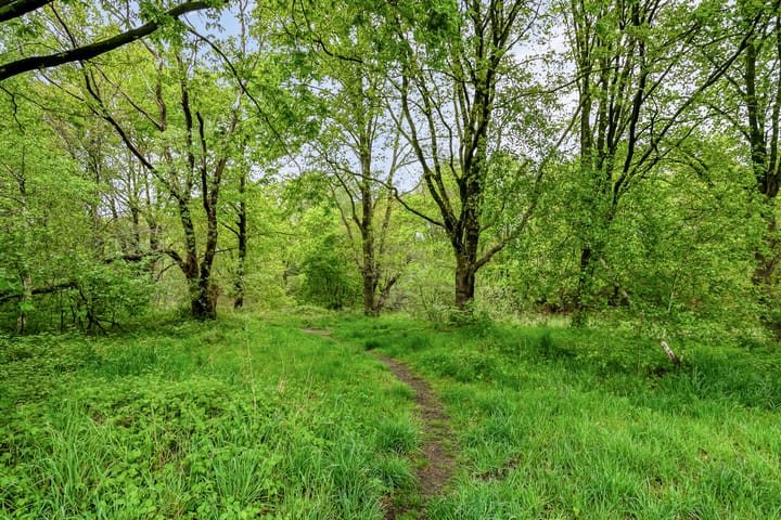 Foto 49 van Zandschuit 33