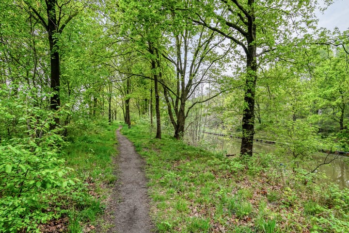 Foto 50 van Zandschuit 33