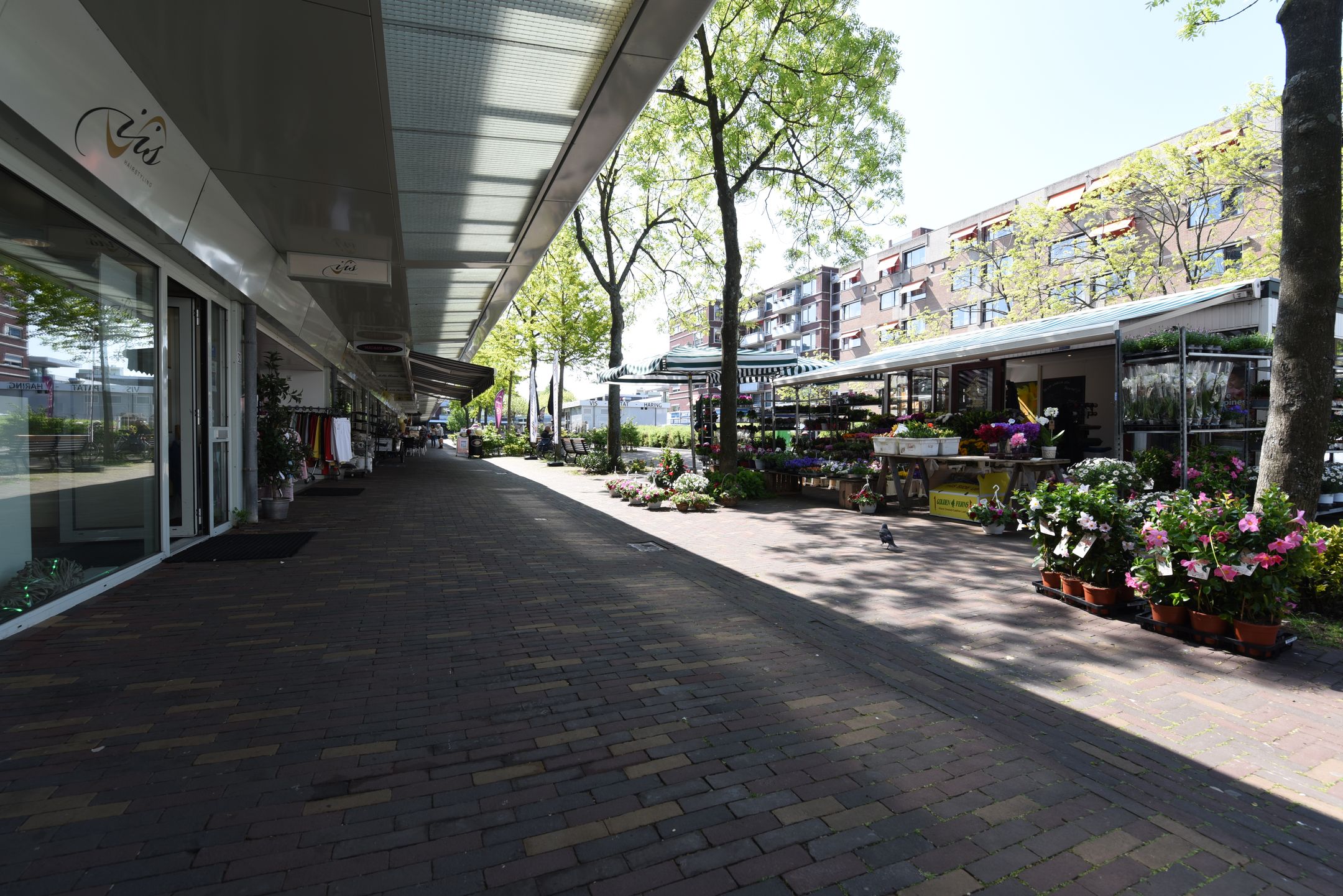 Foto 27 van Mozartlaan 339