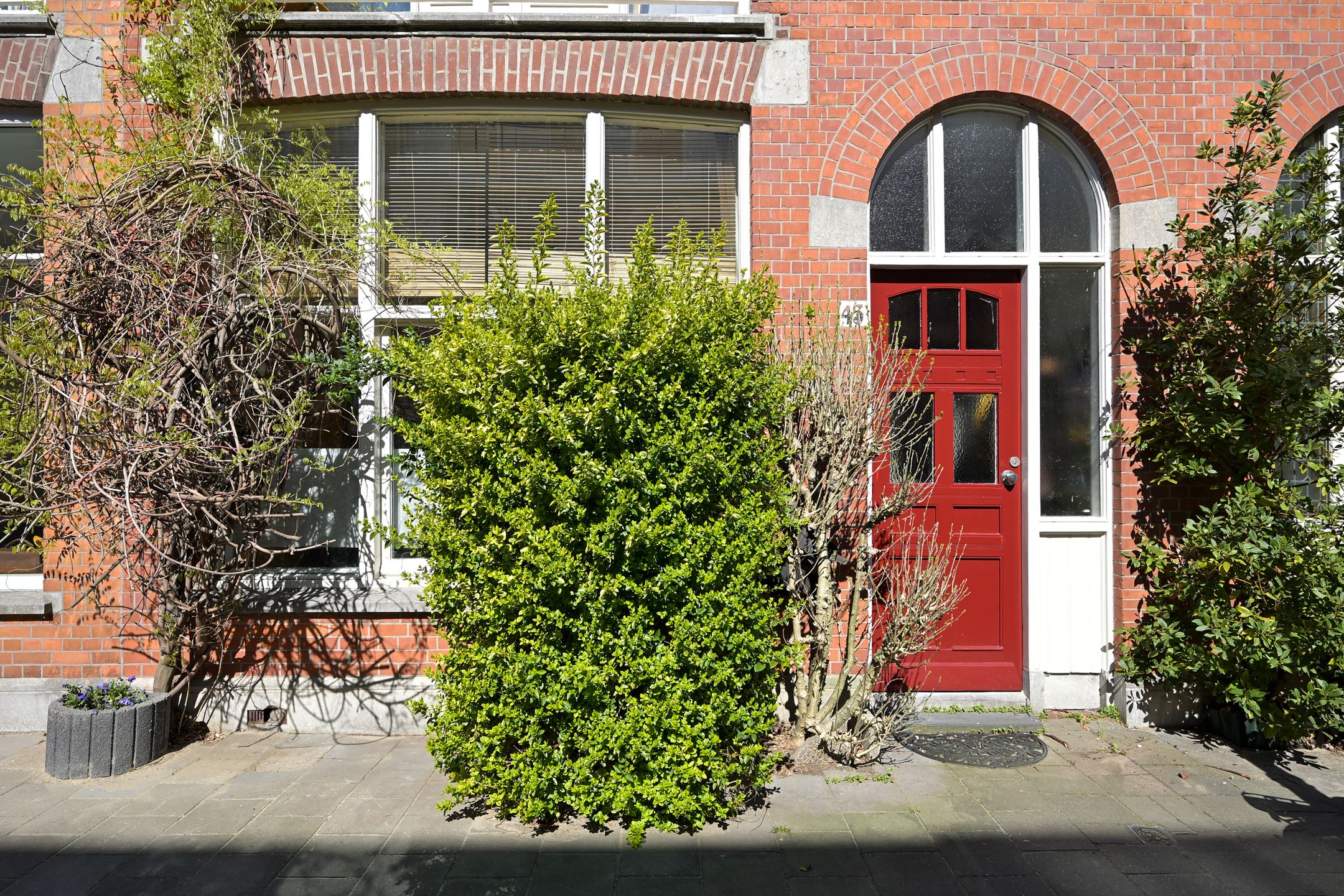 Foto 3 van Buijs Ballotstraat 45