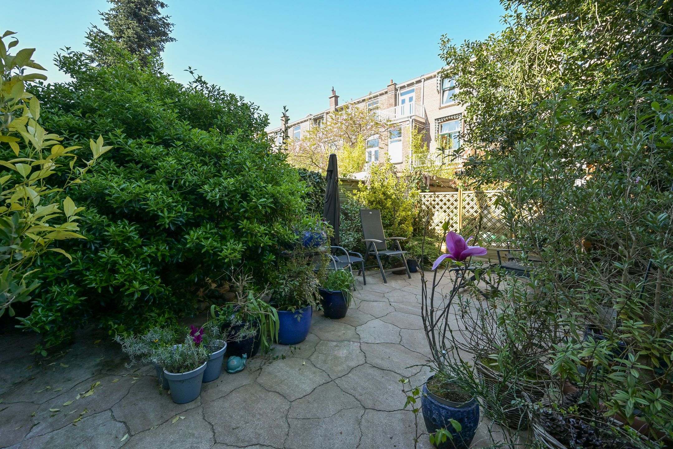 Foto 15 van Buijs Ballotstraat 45