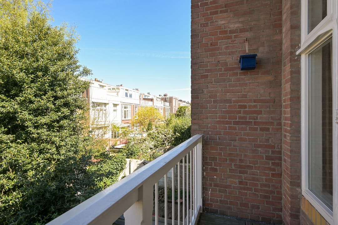 Foto 31 van Buijs Ballotstraat 45