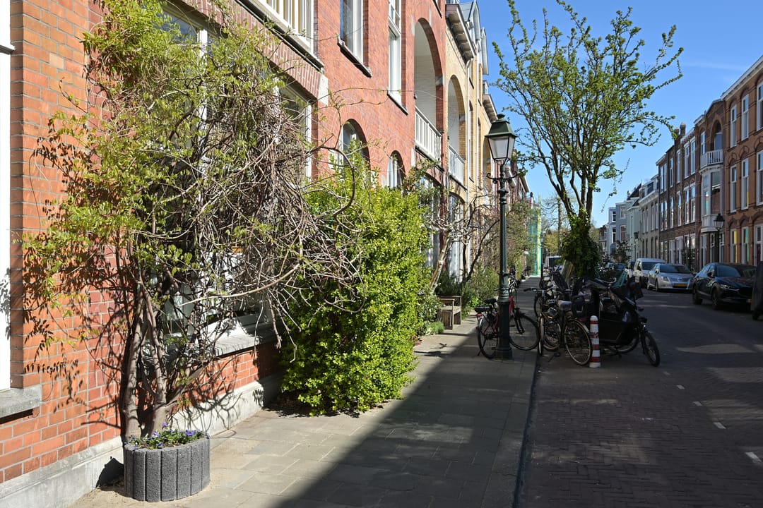 Foto 46 van Buijs Ballotstraat 45