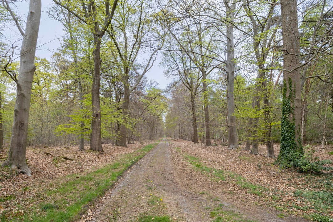 Photo 46 of Jan Berendweg 7