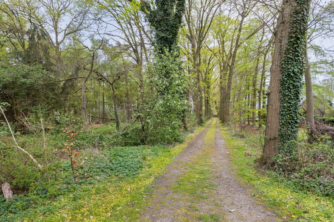 Photo 47 of Jan Berendweg 7