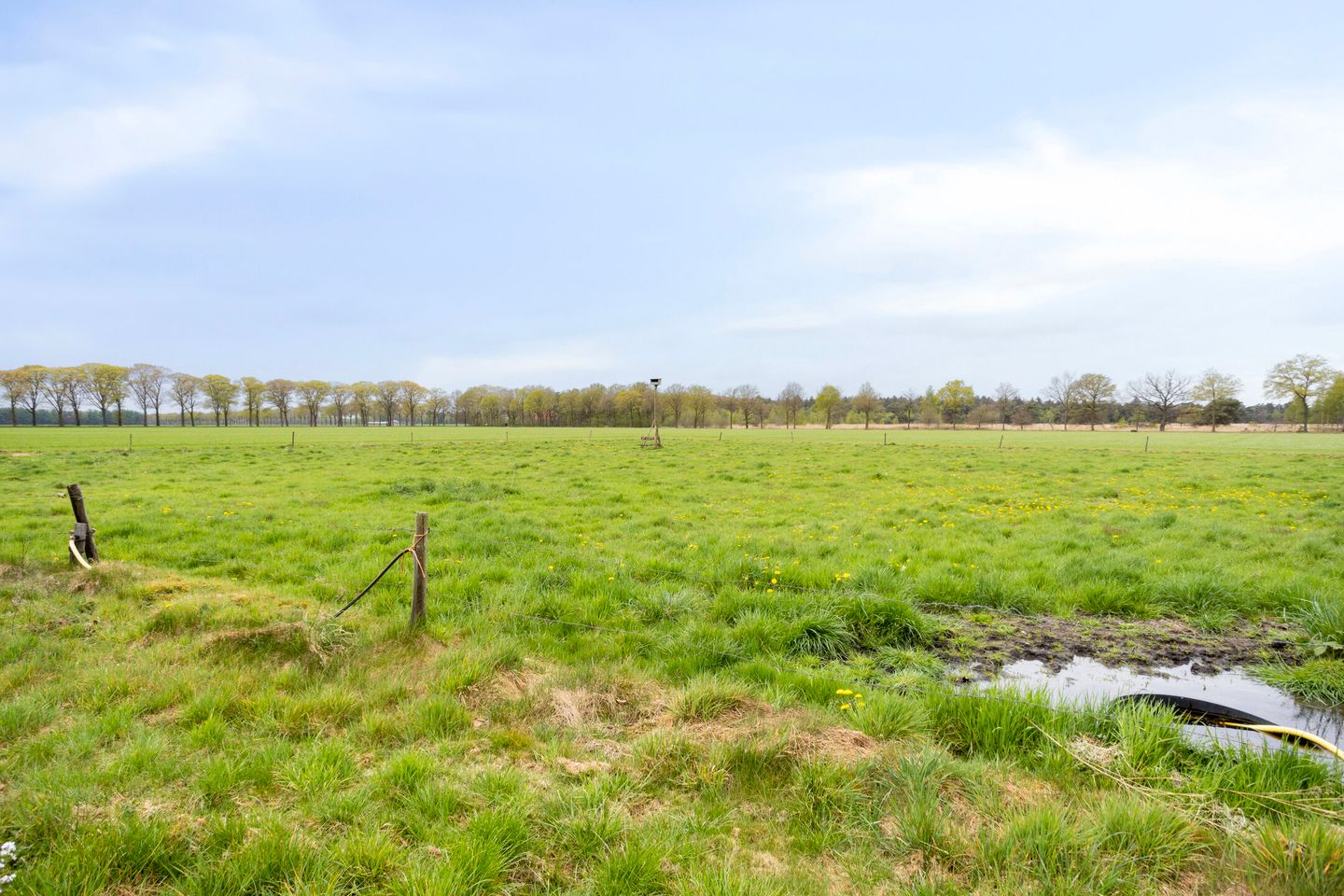 Photo 49 of Jan Berendweg 7