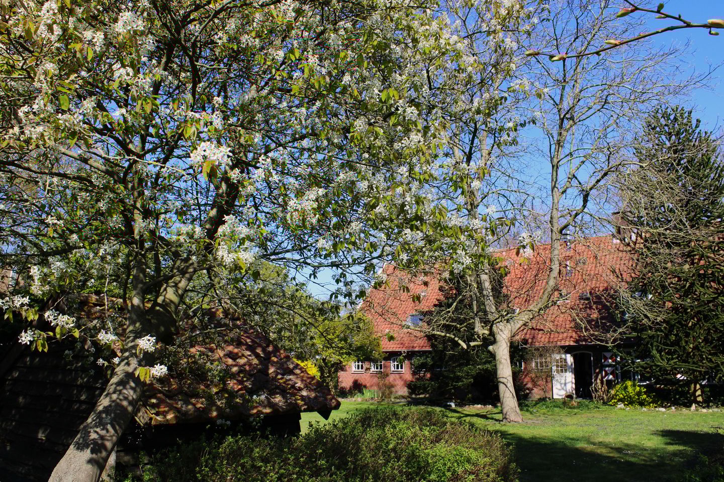 Foto 4 van Leemslagenweg 53