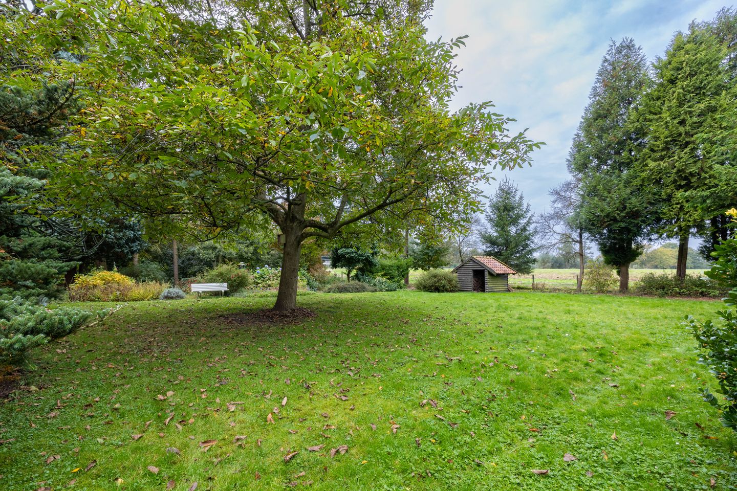 Foto 19 van Leemslagenweg 53