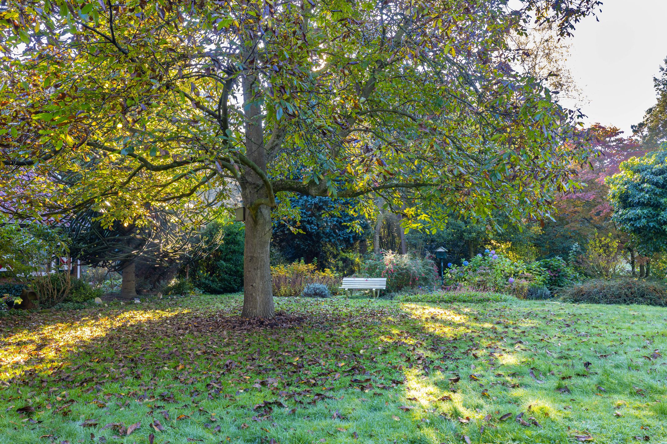 Foto 21 van Leemslagenweg 53