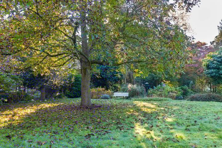 Foto 21 van Leemslagenweg 53